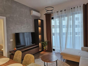 Deluxe Flat with garden_Tirana